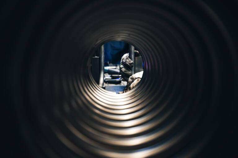 M40_5550-Enhanced-NR